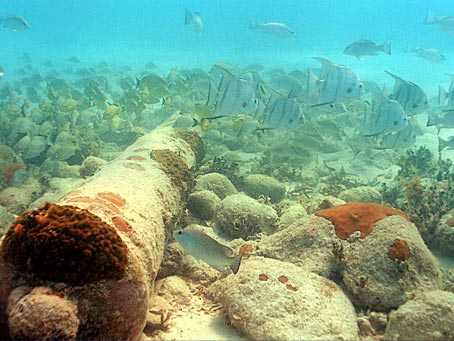 Wreckage of San Pedro