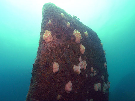 Wreckage of USS Massachusetts