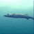 Great Barracuda