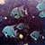 Spadefish