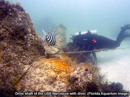 Drive shaft of the USS Narcissus with diver