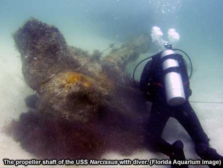 The propeller shaft of the USS Narcissus with diver