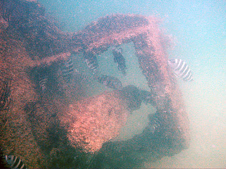 Wreckage of Regina