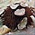 Sea Urchin
