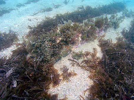 Wreckage of Urca de Lima