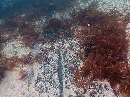 Wreckage of Urca de Lima